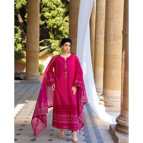 Chicken Kari Embroidered - 3 Pc | DN-52036