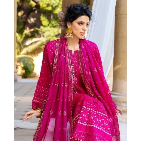 Chicken Kari Embroidered - 3 Pc | DN-52036