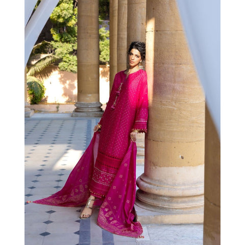 Chicken Kari Embroidered - 3 Pc | DN-52036