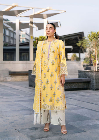 Broadway Catalogue by Mahnur