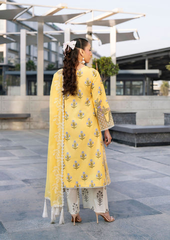 Broadway Catalogue by Mahnur