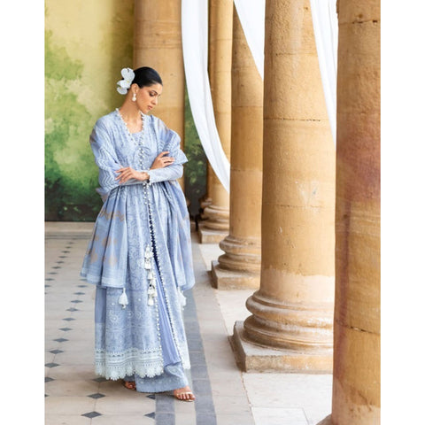 Chicken Kari Embroidered - 3 Pc |  DN-52037