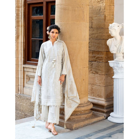 Chicken Kari Embroidered - 3 Pc | DN-52039