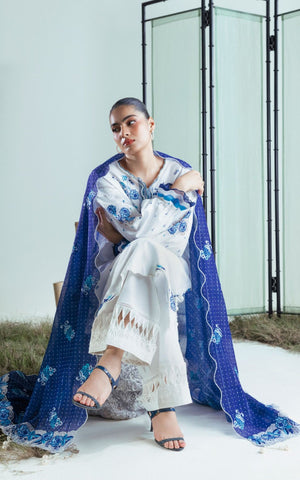 Zari Paper Cotton - 3 Pc |  FE-52065