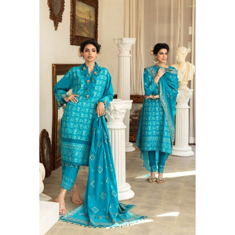 Chicken Kari Embroidered - 3 Pc | DN-52042