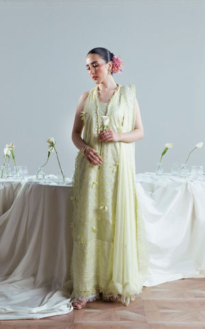 Embroidered Chiffon - 3 Pc | FE-52159