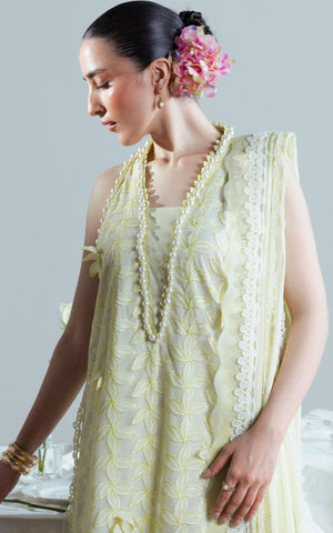 Embroidered Chiffon - 3 Pc | FE-52159