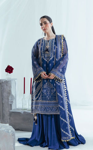 Embriodered Cotton Net - 3 Pc |  FE-52163