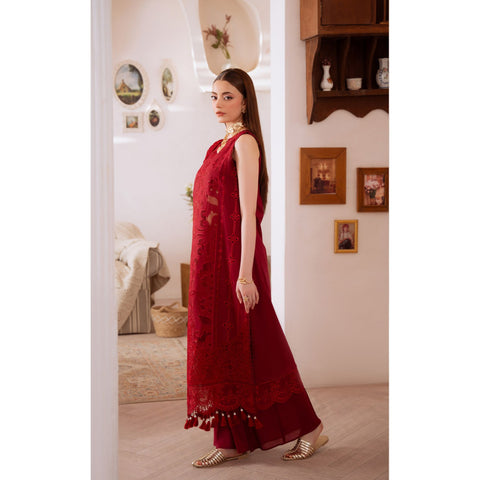 Shanaya Catalogue