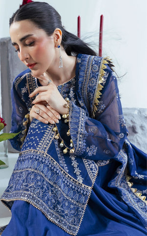 Embriodered Cotton Net - 3 Pc |  FE-52163