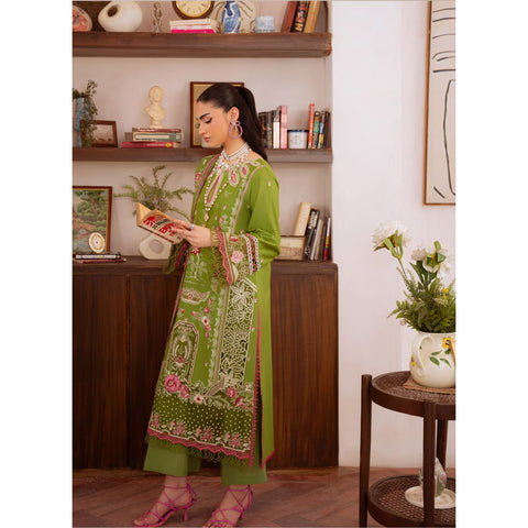 Shanaya Catalogue