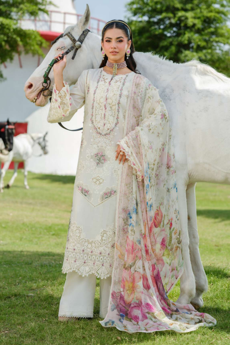 LUXURY LAWN