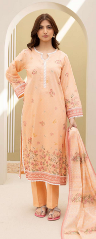 Printed collection 2025