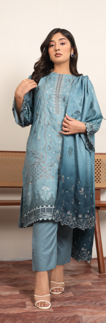 Embroidered_Dhanak