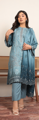 Embroidered_Dhanak