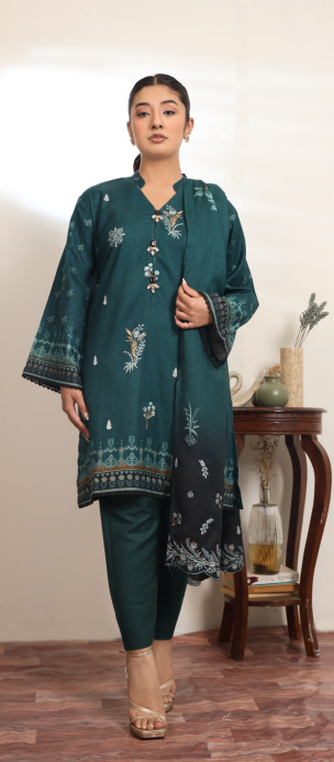 Embroidered_Dhanak