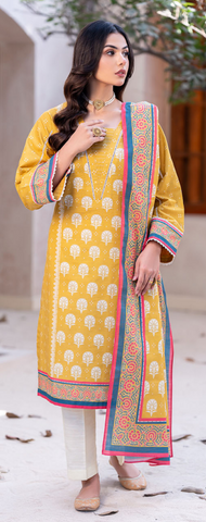 2 piece UNSTITCHED COLLECTION