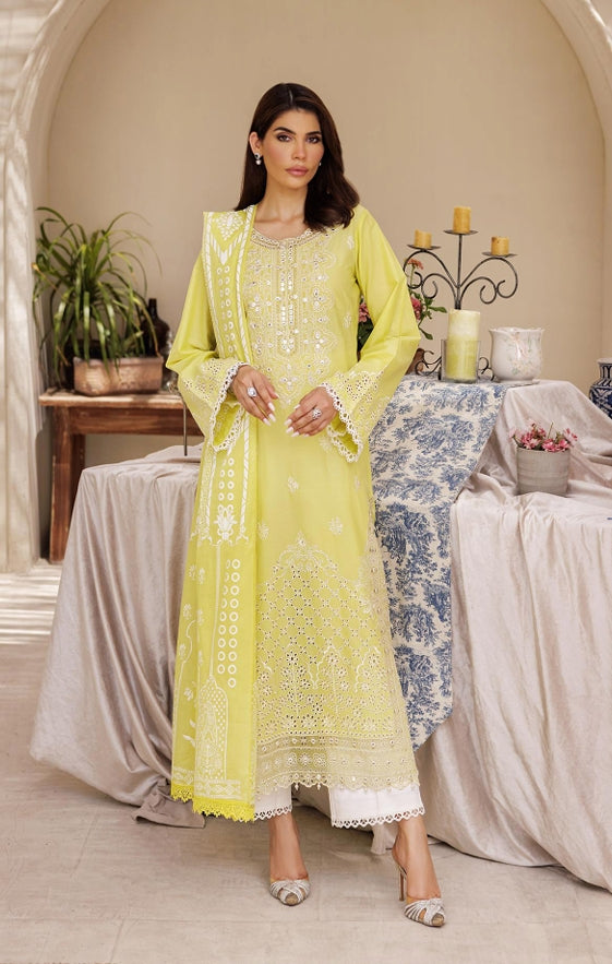 Nissa Chikankari Edit. 2025'