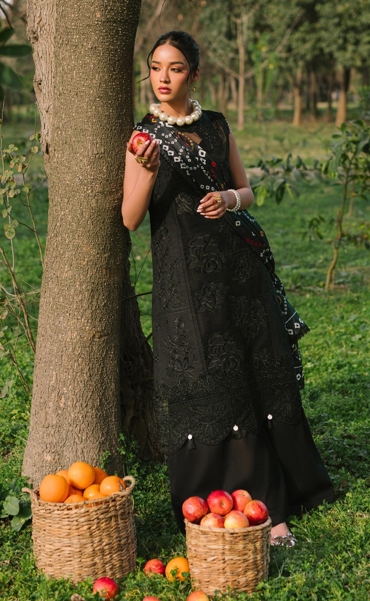 Dahlia-Catalogue 2025
