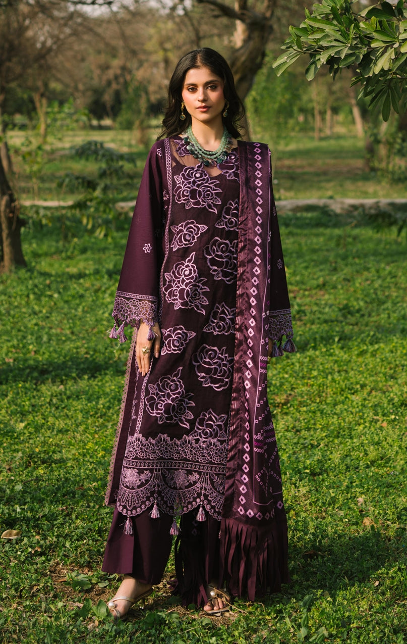 Dahlia-Catalogue 2025
