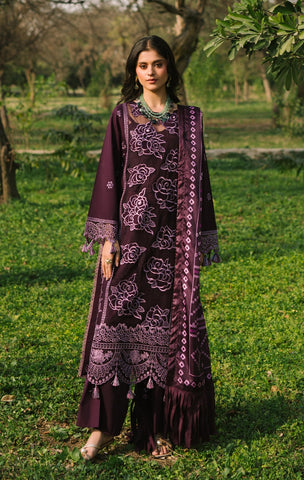 Dahlia-Catalogue 2025