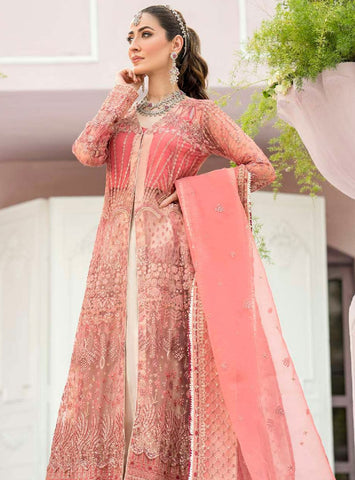 Embroidered Net Front 3PCS DRESS
