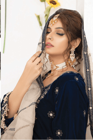 Makhmal E Singhar By Palwasha Embroidered Luxury Velvet Suit D-04