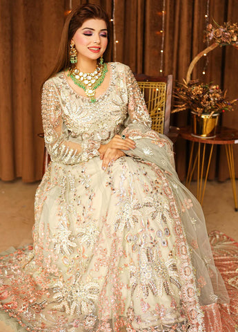 Royal Shehnai Festive wedding Dress D-01