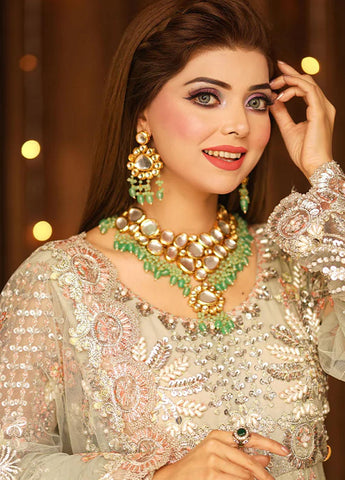 Royal Shehnai Festive wedding Dress D-01