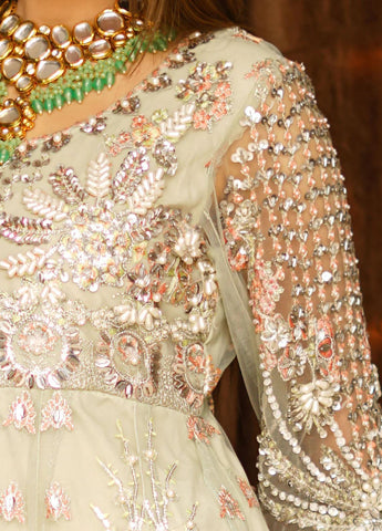 Royal Shehnai Festive wedding Dress D-01