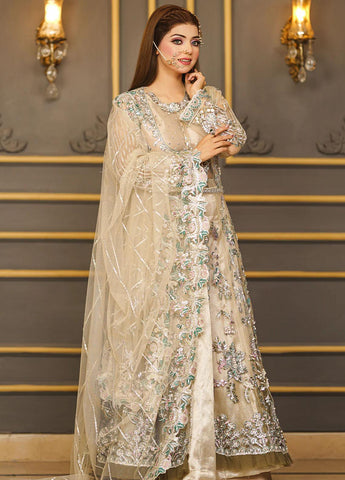 Royal Shehnai Festive wedding Dress D-03