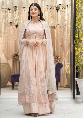 Embroidered Chiffon 001