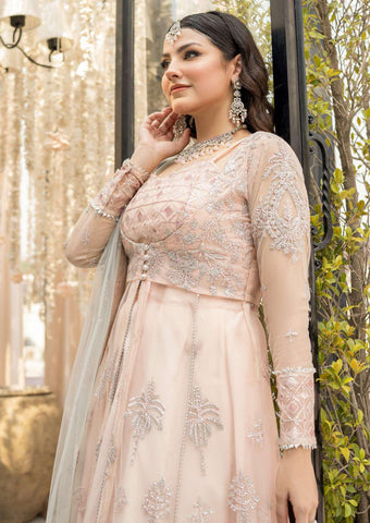 Embroidered Chiffon 001