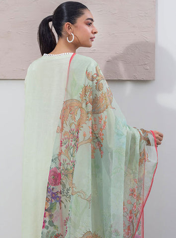 Zellbury Unstitched Cambric Collection