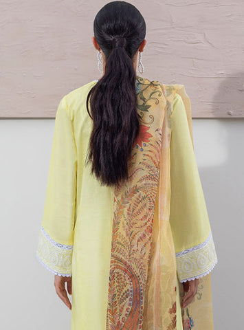 Zellbury Unstitched Cambric Collection