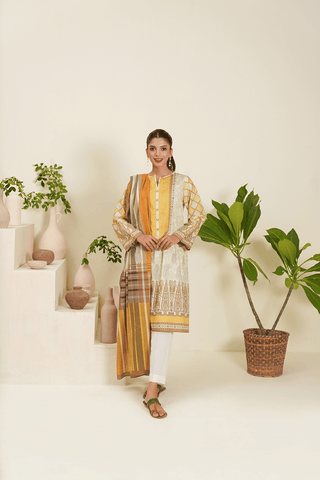 Zellbury Two Piece Cambric Dress (WUCE-342)